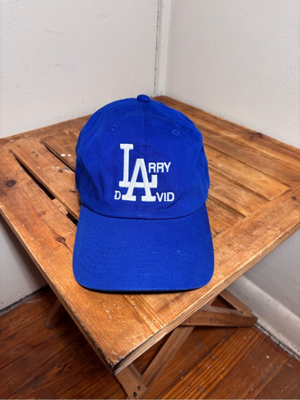 Vacancy Projects Larry David Dad Cap Hat